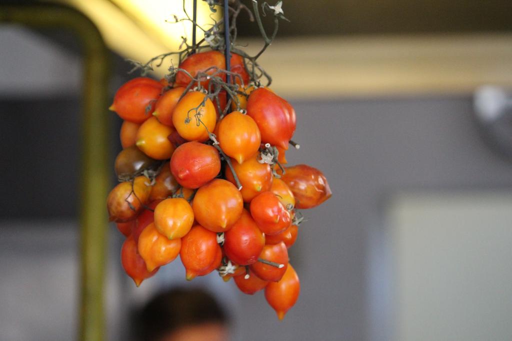 Hotel Brenta Viserbella di Rimini エクステリア 写真